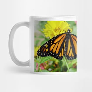 621 monarch Mug